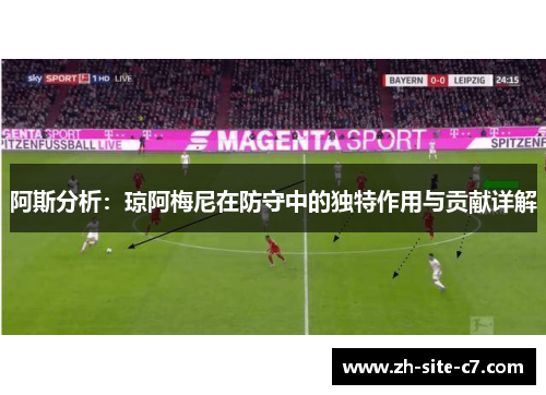 阿斯分析：琼阿梅尼在防守中的独特作用与贡献详解
