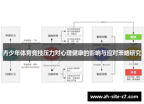 青少年体育竞技压力对心理健康的影响与应对策略研究
