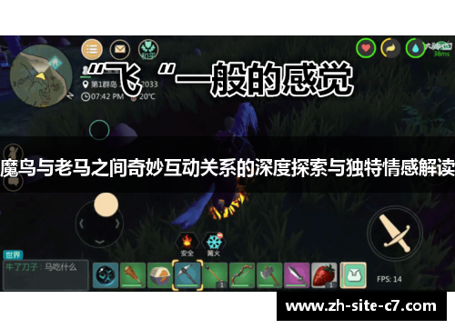 魔鸟与老马之间奇妙互动关系的深度探索与独特情感解读