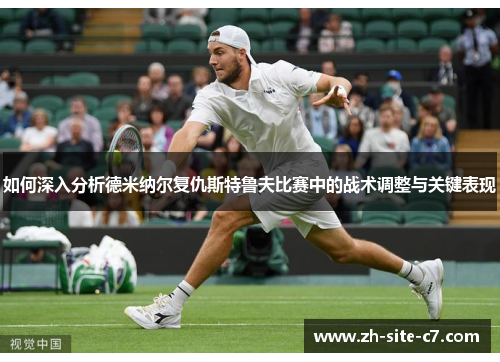 如何深入分析德米纳尔复仇斯特鲁夫比赛中的战术调整与关键表现